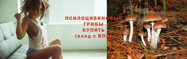 гидропоника Волосово