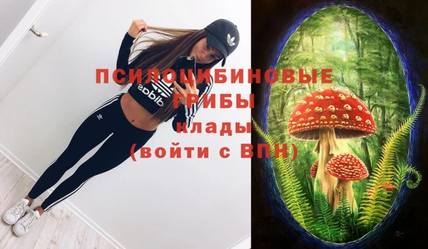 ГАЛЛЮЦИНОГЕННЫЕ ГРИБЫ Верхний Тагил
