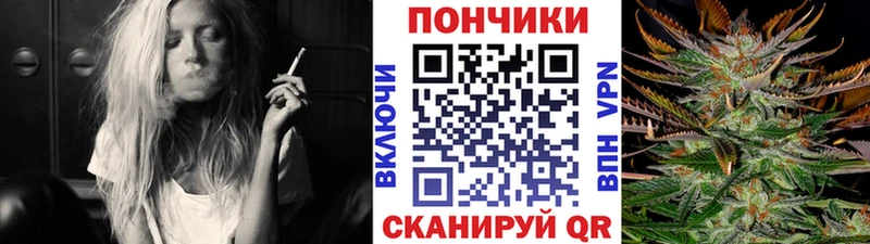 Бошки Шишки SATIVA & INDICA Бийск